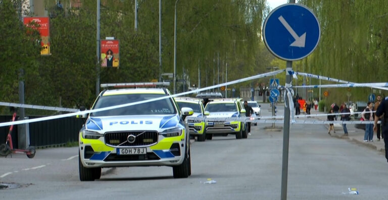 sweeden 3