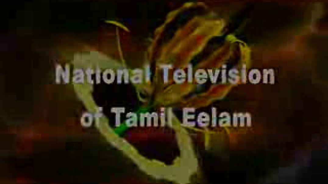 tamil eelam tv