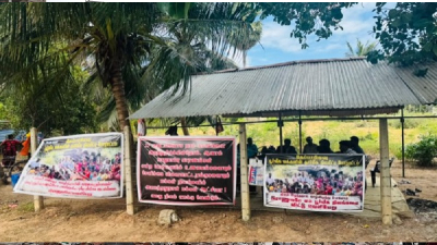 image (23)