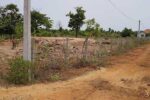 kaanee