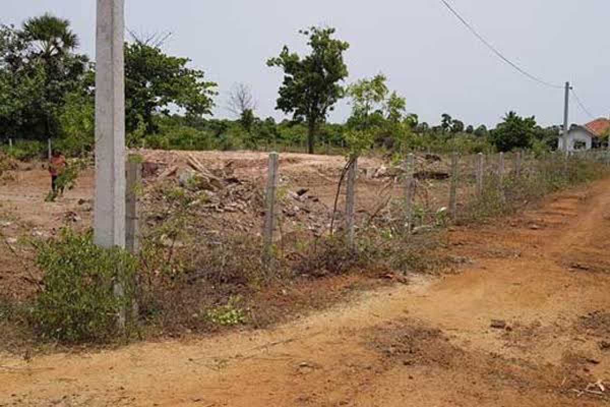 kaanee