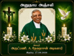 image (38)