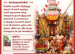 image (42)