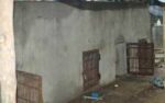 image (11)