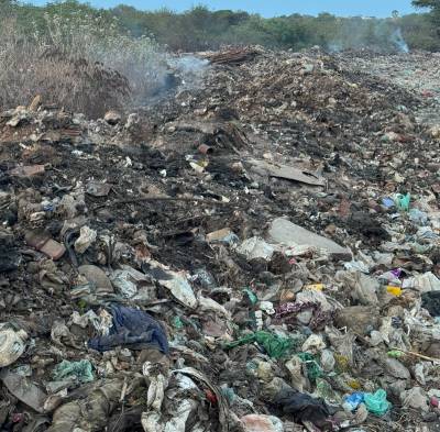 image (14)