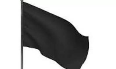 image (6)
